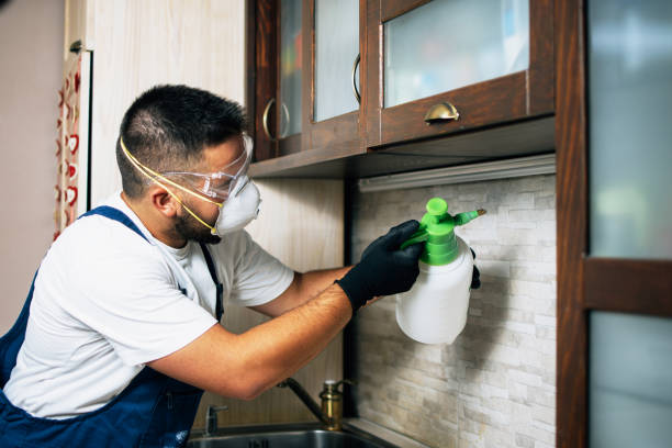Best Wildlife Control Services  in Kure Beach, NC