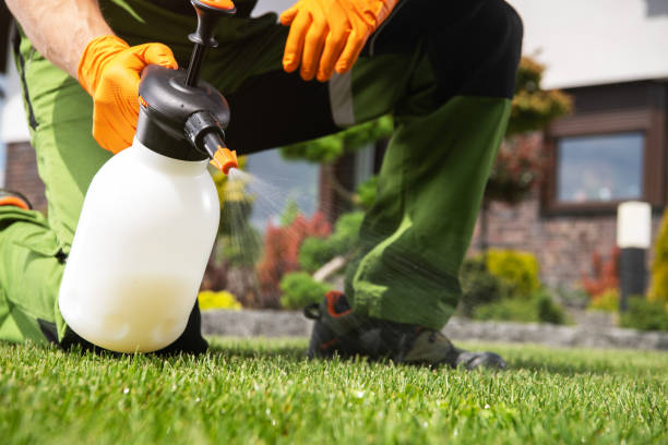 Best Residential Pest Control  in Kure Beach, NC