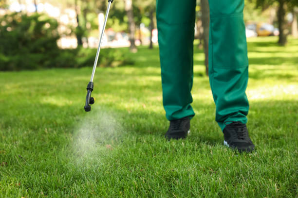 Best Flea Control Services  in Kure Beach, NC