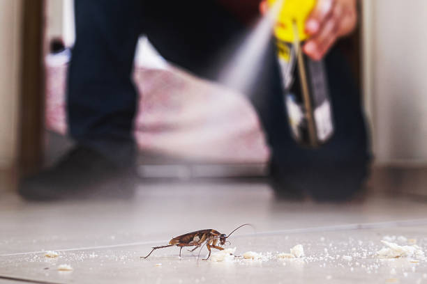 Kure Beach, NC Pest Control Company